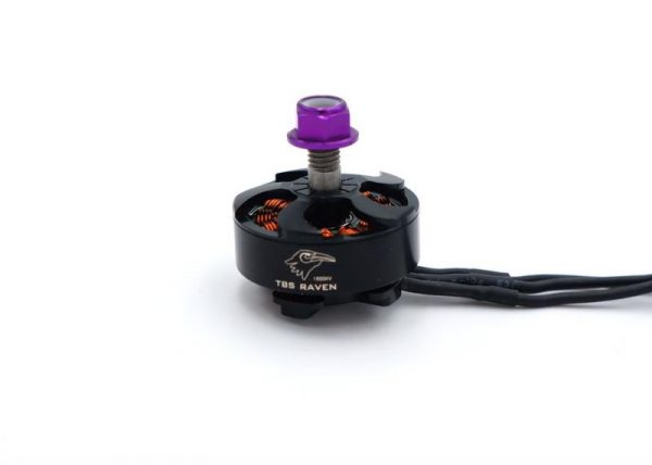 TBS RAVEN MOTORS 1800 KV (5 - 6s) - Image 2