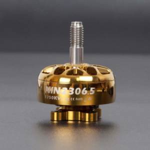 FLYWOO NIN PLUS 2306.5 Gold 2-6S Brushless FPV Motor - (Pick Your Kv) 9 - Flywoo