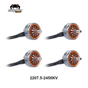 MAMBA TOKA 2207.5 FPV Racing Motor (Pick Your KV) 9 - Diatone