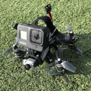 Shendrones Big Baby with 3D Printed Parts 3 -