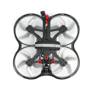 BetaFPV Pavo30 Whoop Quadcopter (HD Digital VTX) - Polar Camera - Frsky 3 - BetaFPV